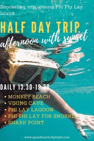 speedboat-phi-phi-half-day-trip-afternoon